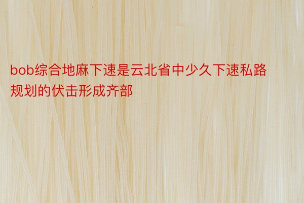 bob综合地麻下速是云北省中少久下速私路规划的伏击形成齐部