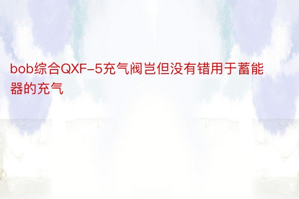 bob综合QXF-5充气阀岂但没有错用于蓄能器的充气